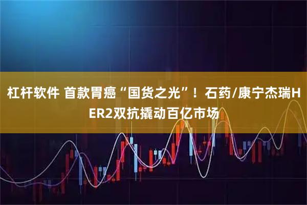 杠杆软件 首款胃癌“国货之光”！石药/康宁杰瑞HER2双抗撬动百亿市场