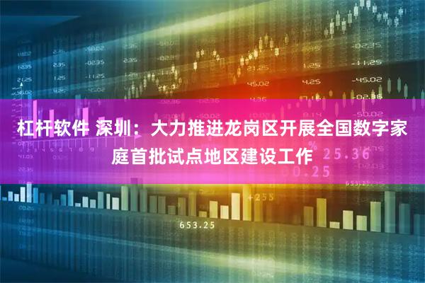 杠杆软件 深圳：大力推进龙岗区开展全国数字家庭首批试点地区建设工作