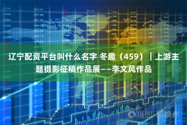 辽宁配资平台叫什么名字 冬趣（459）｜上游主题摄影征稿作品展——李文风作品