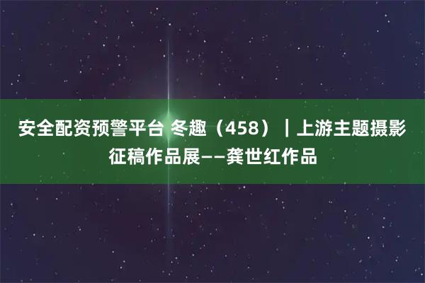 安全配资预警平台 冬趣（458）｜上游主题摄影征稿作品展——龚世红作品