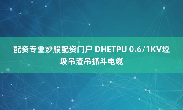 配资专业炒股配资门户 DHETPU 0.6/1KV垃圾吊渣吊抓斗电缆