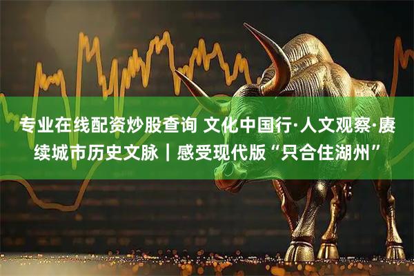 专业在线配资炒股查询 文化中国行·人文观察·赓续城市历史文脉｜感受现代版“只合住湖州”